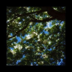 “朝花” sadpiano x samplevocal x 痛苦旋律伴奏