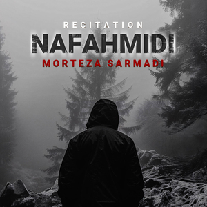 Nafahmidi