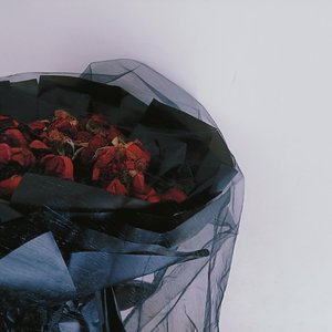 希望你离开时会记得我