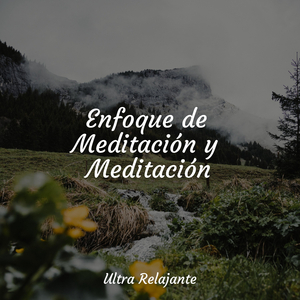 Una Probada A La Tranquilidad