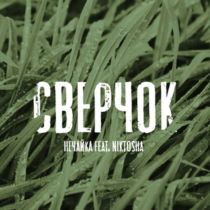 Сверчок