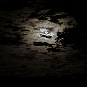 W.U.O.T.W.S.O.B (Watch This)