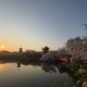 空と風が出会う場所