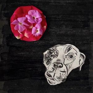 Swiss Family Robinson