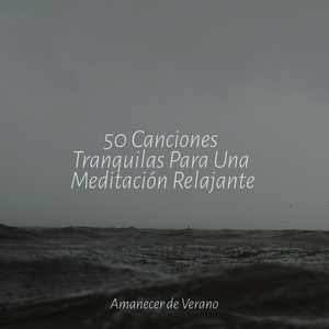 Melodía Flotante Sin Peso