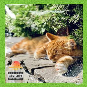 【Free】Boombap 老学校 Old School Type Beat