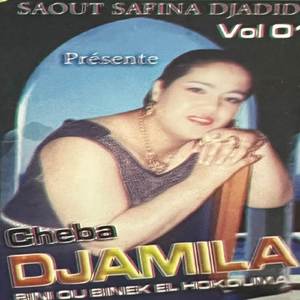 Bini Ou Binek El Houkouma