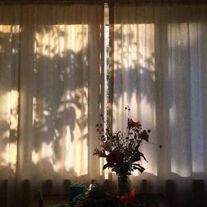 庐州月（翻自 群星）