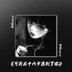 可我在十六岁遇到了你