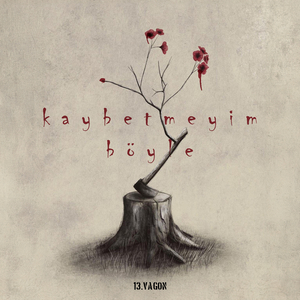 Kaybetmeyim Böyle