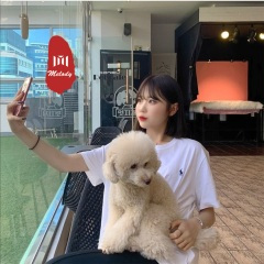 江南春雨夜 (DJ版)