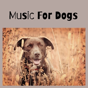 Music For Dogs