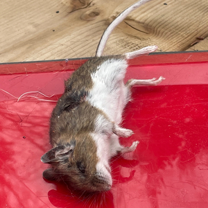 Don't Want You to Know