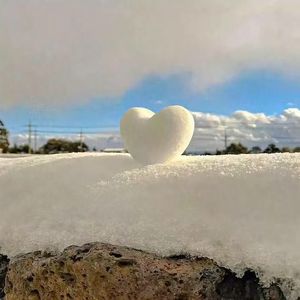 蓝色星球的守护者