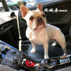 赚够三千万就收手