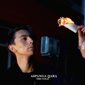 Aspanga qara