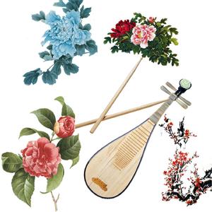 天籁之音 (琵琶静心)