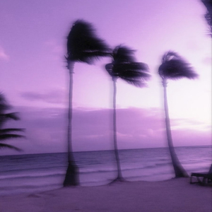 夢幻律動（Dreamy Rhythm）