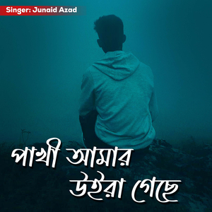 Pakhi Amar Uira Geche