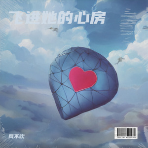 飞进她的心房