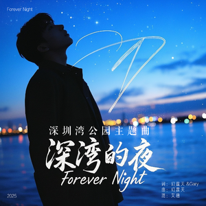 深湾的夜 深圳湾公园主题曲