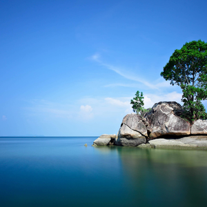 阳光不燥微风正好