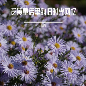 泛黄童话里的旧时光回忆