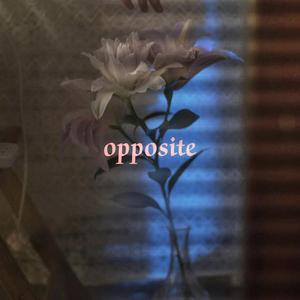 opposite [Prod.Beelzebub & JOS10BEATS]