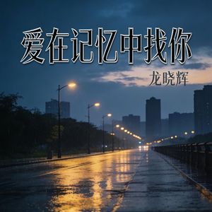 爱在记忆中找你