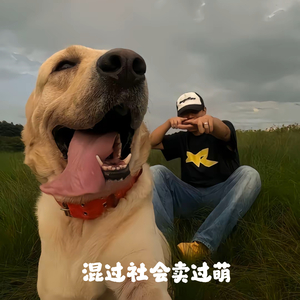 混过社会卖过萌 (廖公子remix)