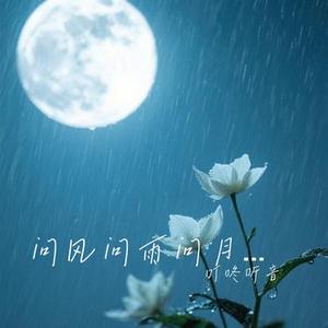 问风问雨问月光 (Cover 豆泥)