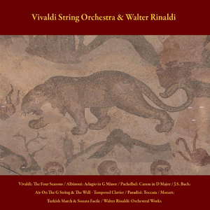 Andante for String Orchestra, Op. 2, No. 1: Rinascita