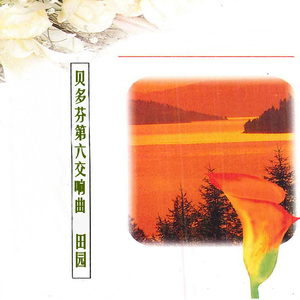 乡民欢乐的聚会+暴风雨