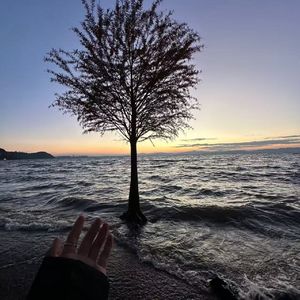 Scared 2 be lonely beat（当真爱降临）