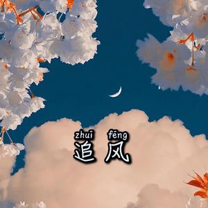 追风（Prod.by ZS Beatz）