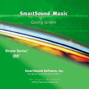 Conscious Consumption