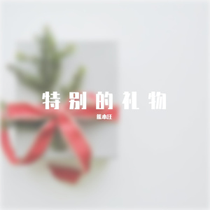 特别的礼物