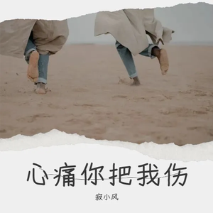 心痛你把我伤