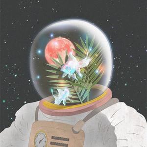 会不会