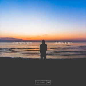 Need Somebody (No Sleep Remix)
