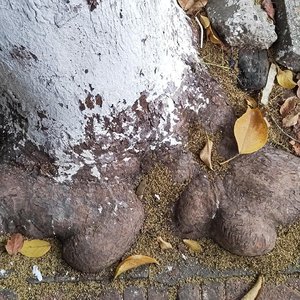 人心与季节更迭