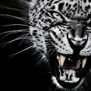 Богатый （ακβαя музыка remix）