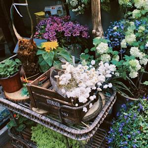 LILAC（翻自 IU）