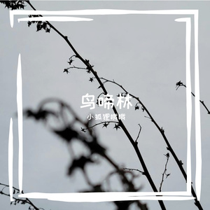 醉清风