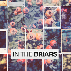 Slow Strathspey (Mackworth / Reel "Mary Walker")