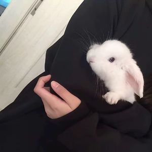 天上星