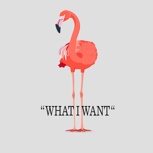 What I Want