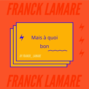 Mais à quoi bon (Radio Edit)