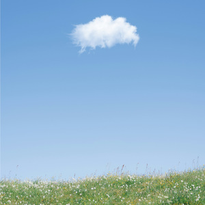 Letters I Never Sent