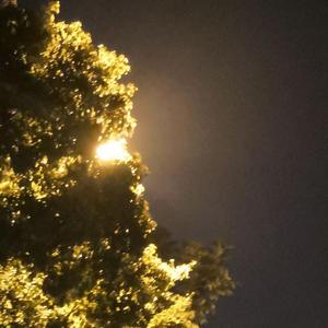 幻想家（Prod by AllenJ）